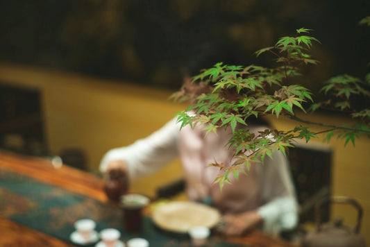 The Art of the Tea Ceremony: A Timeless Tradition